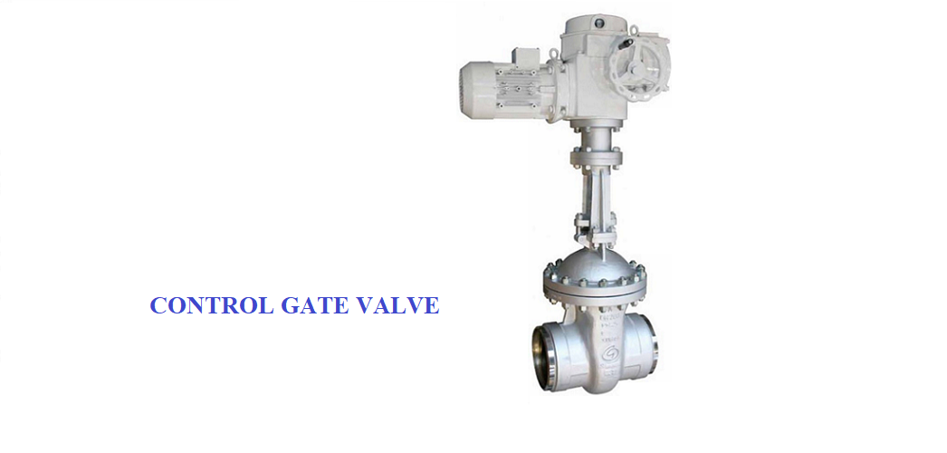 Control Gate Valve 1